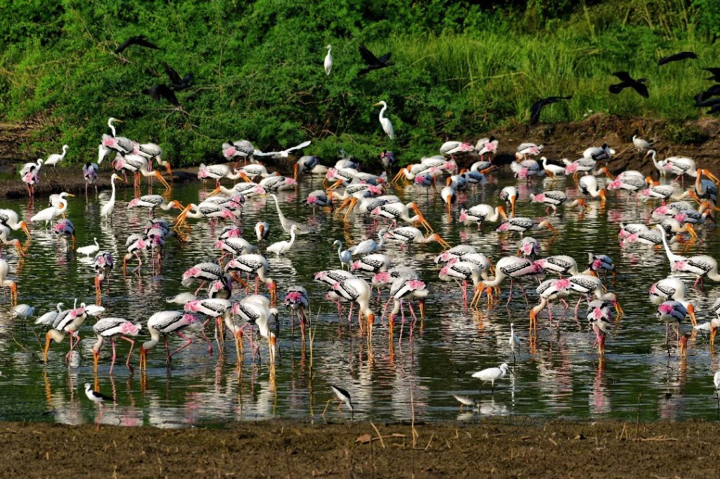 Planning a visit to&nbsp;Bharatpur?