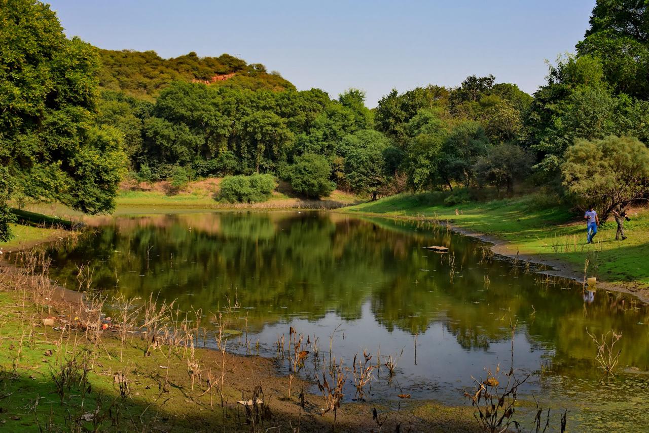 पशुओं और पक्षियों के लिए जल की व्यवस्था कर ली ना?